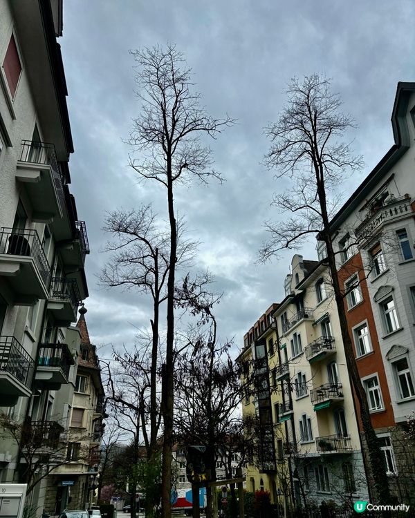 《家陣流行全世界周圍住,移民當真已經不合時宜?》 🤷🏻‍♀️