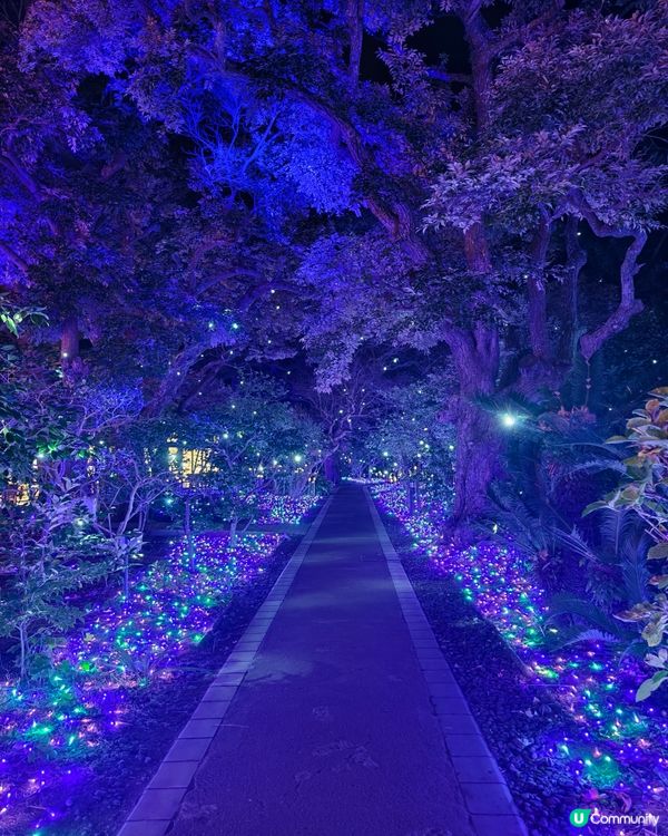 江之島燈飾，湘南的寶石