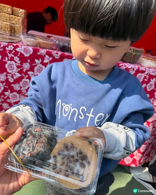 鴨脷洲洪聖節🏮南區傳統文化盛事🤩快啲約埋朋友去體驗！