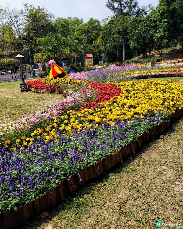 🏃‍♀️🌸花花小鳥陪你做運動