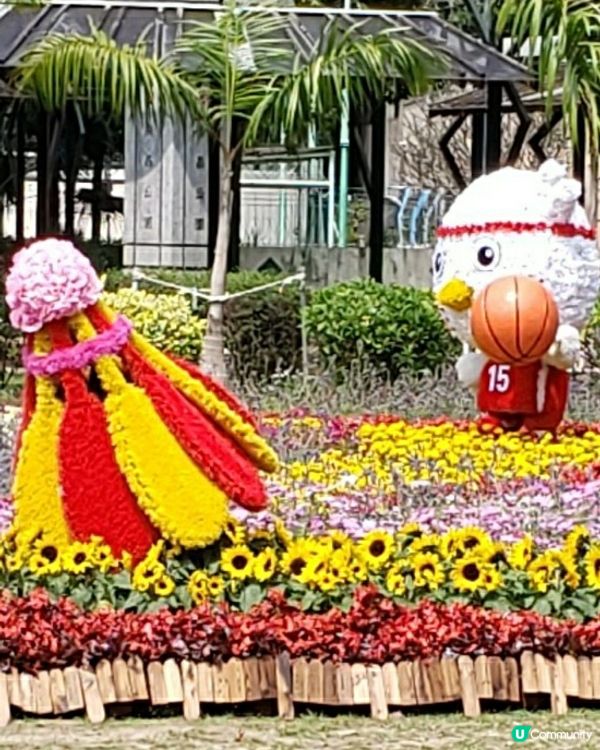 🏃‍♀️🌸花花小鳥陪你做運動