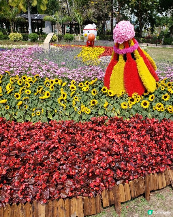 🏃‍♀️🌸花花小鳥陪你做運動