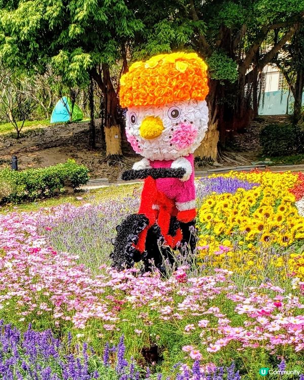 🏃‍♀️🌸花花小鳥陪你做運動