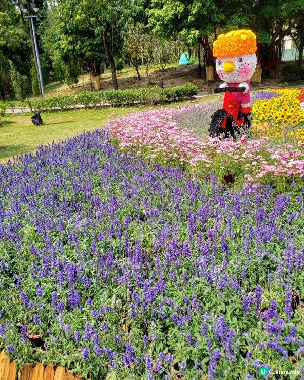 🏃‍♀️🌸花花小鳥陪你做運動