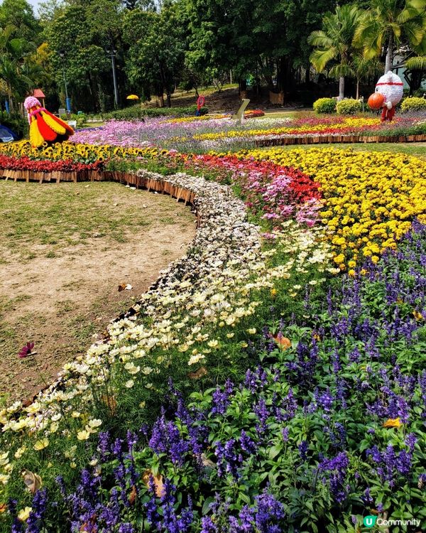 🏃‍♀️🌸花花小鳥陪你做運動