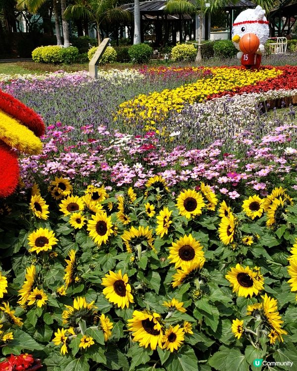 🏃‍♀️🌸花花小鳥陪你做運動