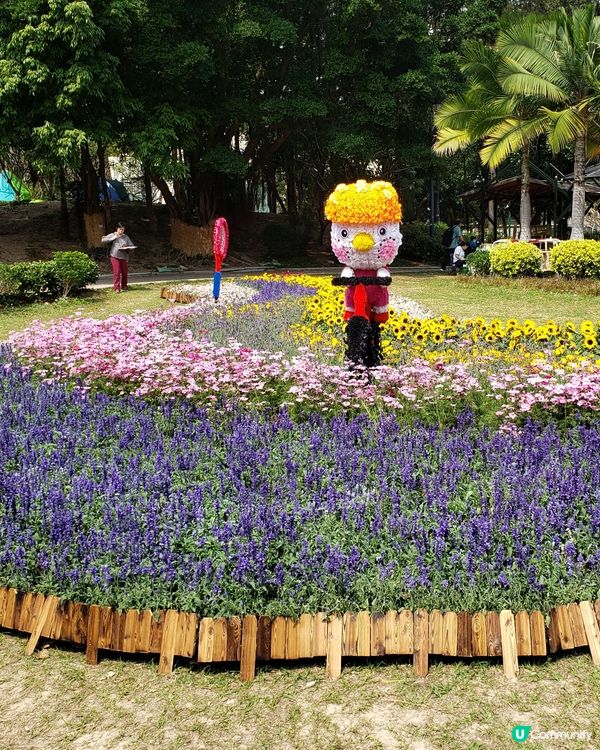 🏃‍♀️🌸花花小鳥陪你做運動