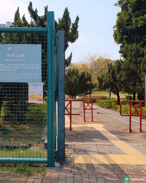 🏃‍♀️🌸花花小鳥陪你做運動