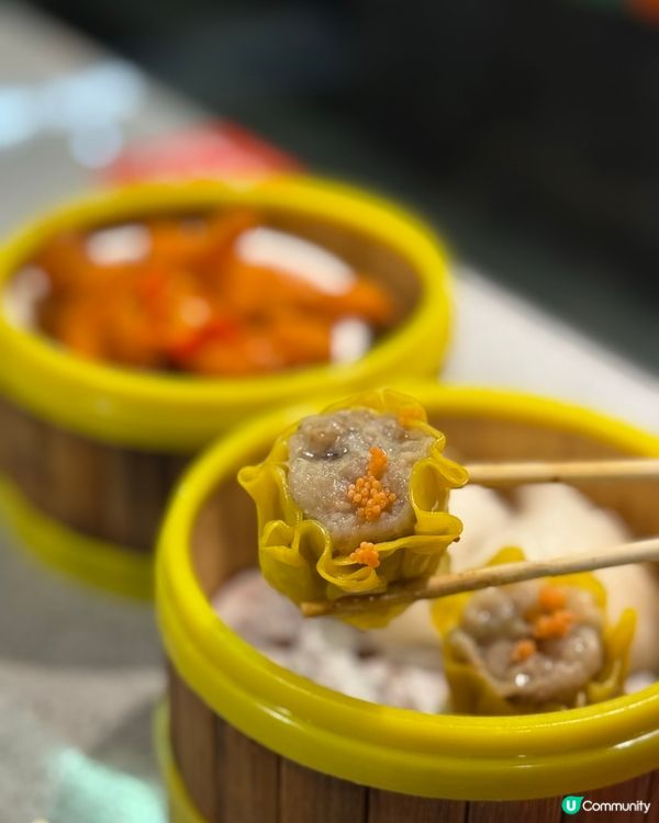 只需$128 任食雞煲放題｜元朗