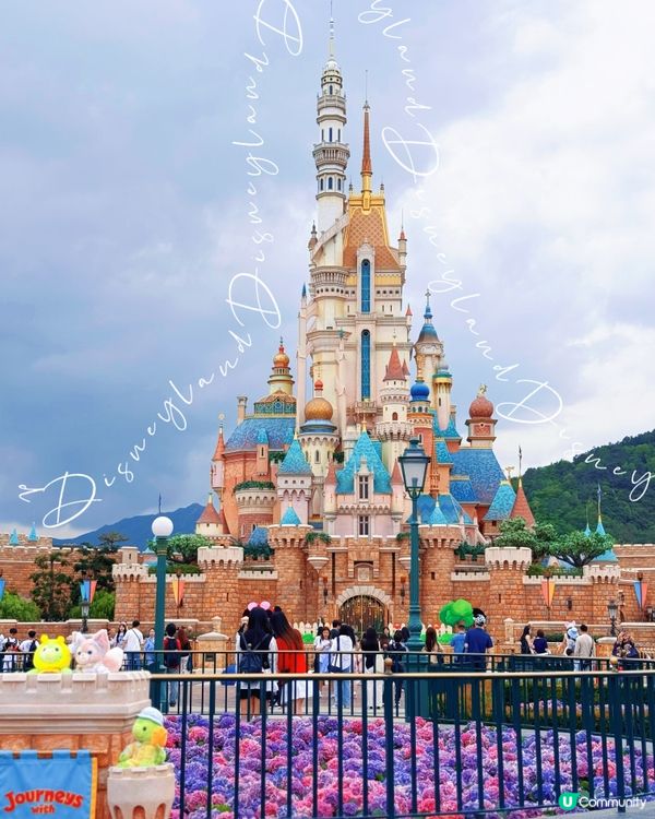 他和我去迪士尼