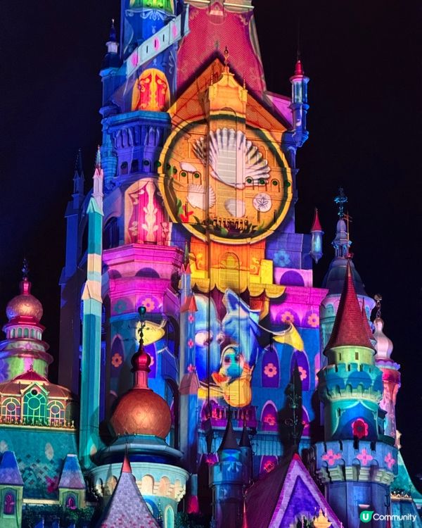 他和我去迪士尼