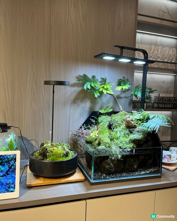 淘寶家具實體店