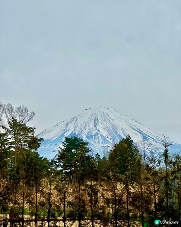 富士山Glamping住宿體驗🗻