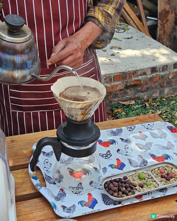  煙燻雞配楓糖三文魚，得意野炊超滿足😋