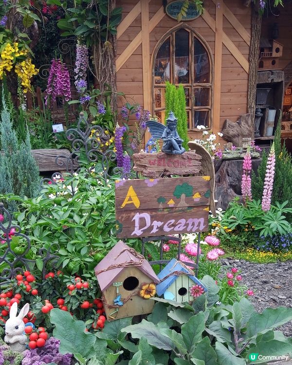 ## 2025香港花展🌸 人山人海📸️ 自拍棍出沒注意⚠