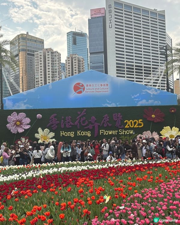 花卉展覽2025