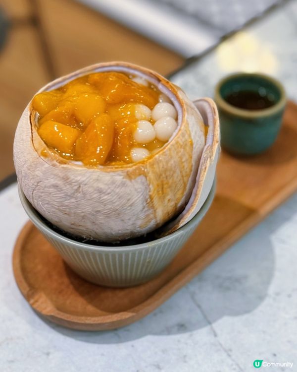 尖沙咀甜品新寵 🥥🥭 星十五！必食椰皇燉鮮奶！