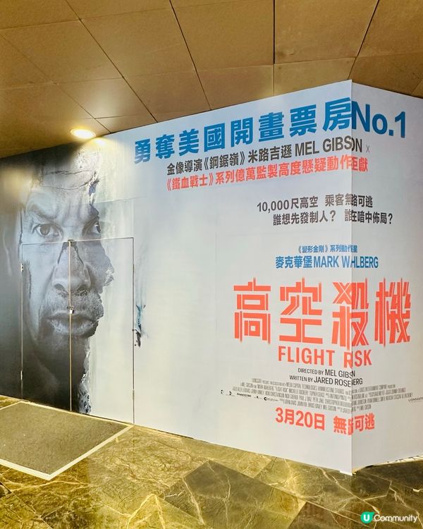 ✈️ 《 高空殺機 》 罪無可逃 這個殺手不太強 