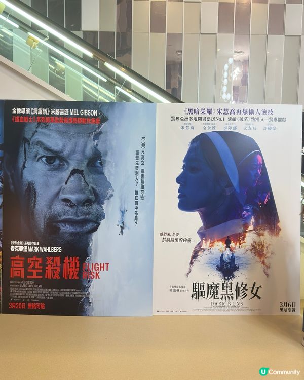 ✈️ 《 高空殺機 》 罪無可逃 這個殺手不太強 