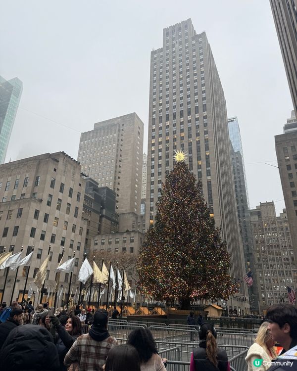 紐約的聖誕氣氛滿滿