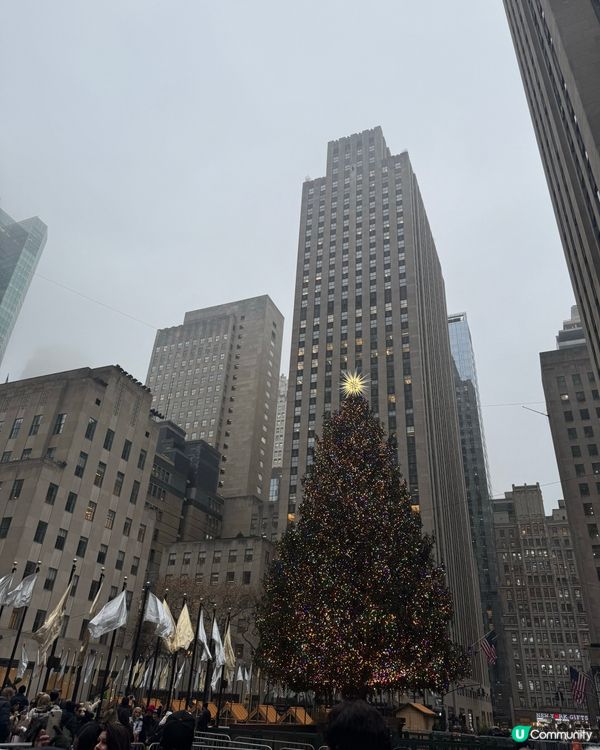 紐約的聖誕氣氛滿滿