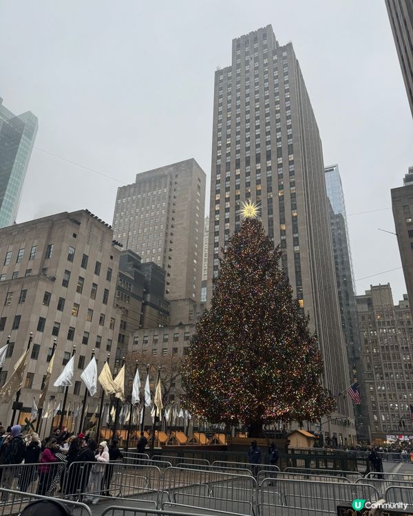 紐約的聖誕氣氛滿滿