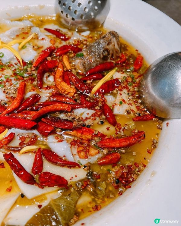 深圳最好吃的酸菜魚！酸辣控必食，豆苗配陳皮洛神花茶解膩一流🤤