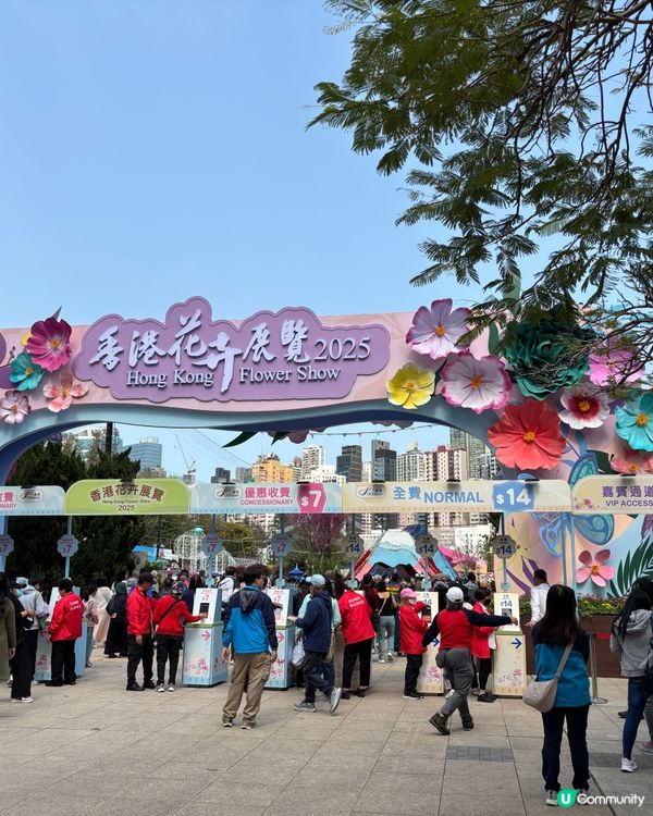 【🇭🇰香港花卉展】點影都咁靚😍 睇完靚花心花怒放🥰