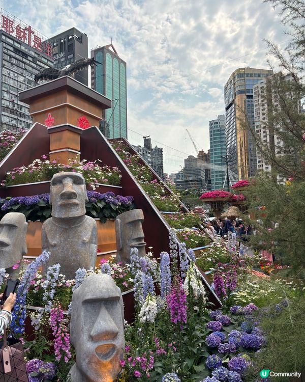 【🇭🇰香港花卉展】點影都咁靚😍 睇完靚花心花怒放🥰