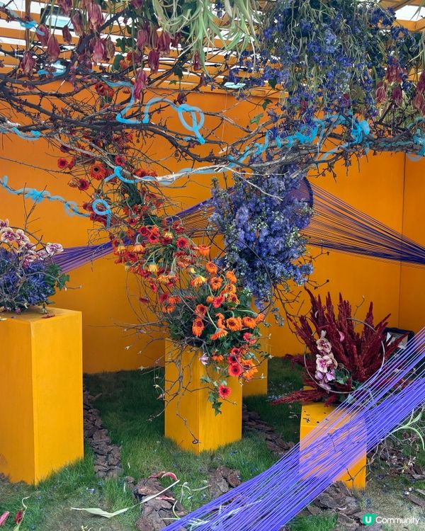 【🇭🇰香港花卉展】點影都咁靚😍 睇完靚花心花怒放🥰