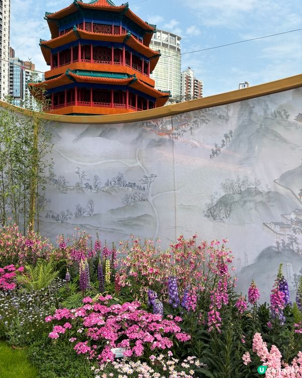 【🇭🇰香港花卉展】點影都咁靚😍 睇完靚花心花怒放🥰