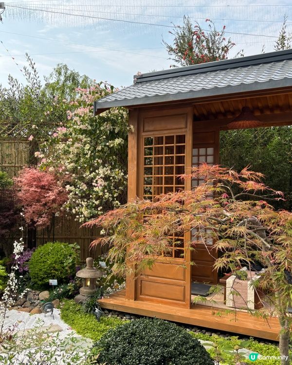 【🇭🇰香港花卉展】點影都咁靚😍 睇完靚花心花怒放🥰