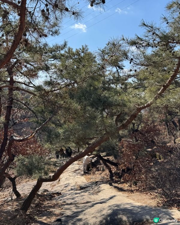 尋找綜藝秘境「峨嵯山」
