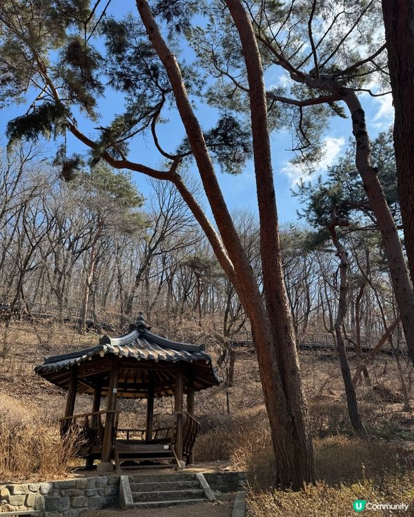 尋找綜藝秘境「峨嵯山」