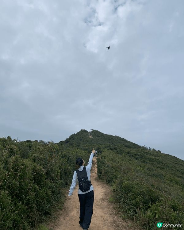 上星期去左香港人行山熱點：龍脊！👦🏻話係行山界旺角😂😂沿途聽...