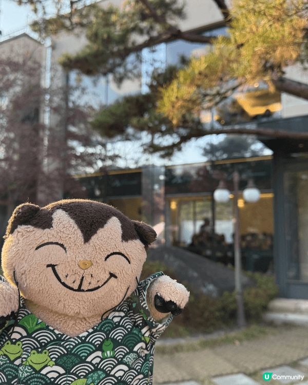 積及貓在南韓。貓主子在看風景打卡，本奴才表示滿幸福的。