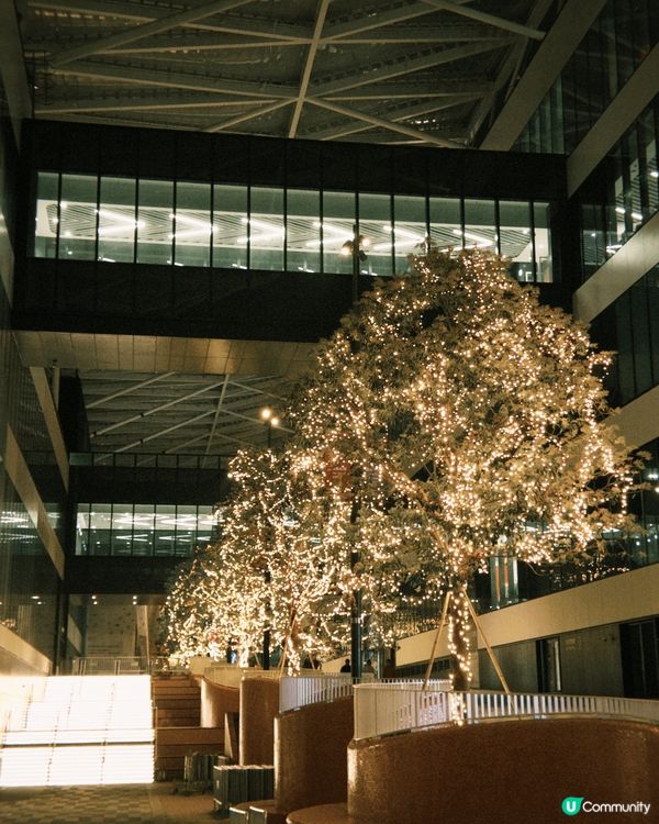 去啟德除左行新商場外，仲可以去埋香港啟德體育園「偽六本木」打...