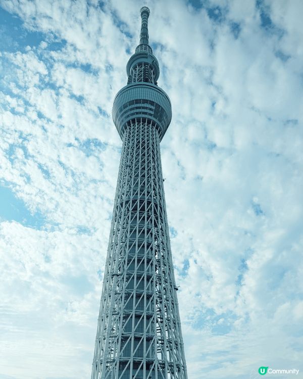 日本紅葉🍁季節
