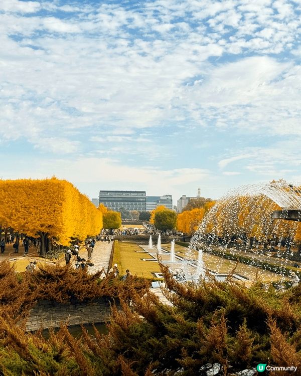 日本紅葉🍁季節
