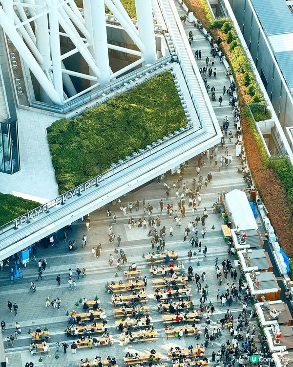 日本紅葉🍁季節
