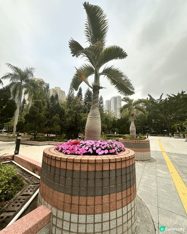 柴灣公園真的超大 好多人都會經過這兒，特別是要搭地鐵的話，這...