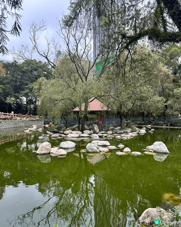 柴灣公園真的超大 好多人都會經過這兒，特別是要搭地鐵的話，這...