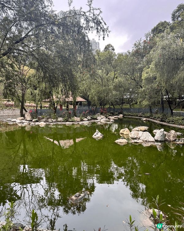 柴灣公園真的超大 好多人都會經過這兒，特別是要搭地鐵的話，這...