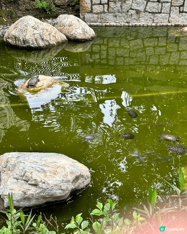 柴灣公園真的超大 好多人都會經過這兒，特別是要搭地鐵的話，這...