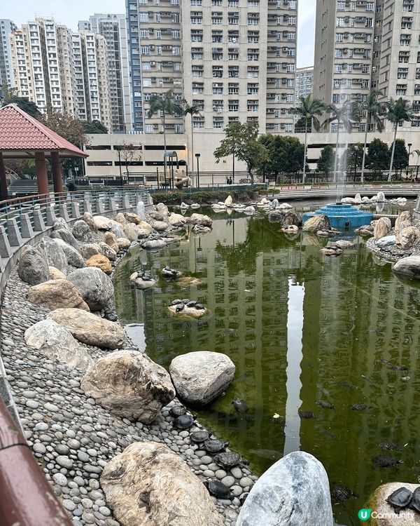 柴灣公園真的超大 好多人都會經過這兒，特別是要搭地鐵的話，這...