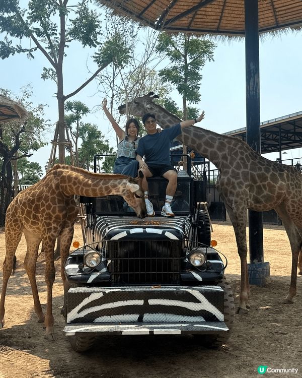 呢兩年喺IG爆紅、新開無耐嘅泰國曼谷大城動物園 Sriayu...