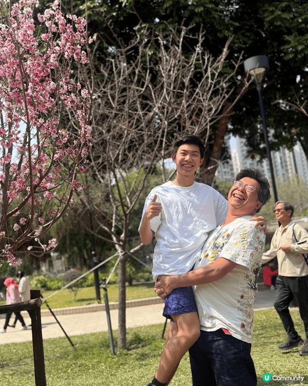 天水圍公園    父子倆在櫻花樹下，重溫10年前的抱抱。10...