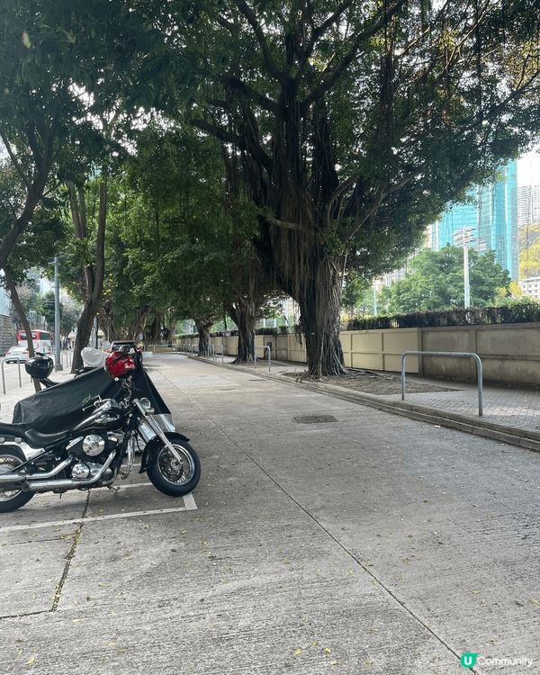 呢一張相係我行入跑馬地嘅時候影㗎，嗰條路水靜河飛，但就有好多...