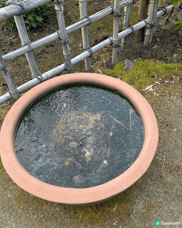 這個是這個是高松的玉藻公園，而高松城亦在這公園內，這個公園都...