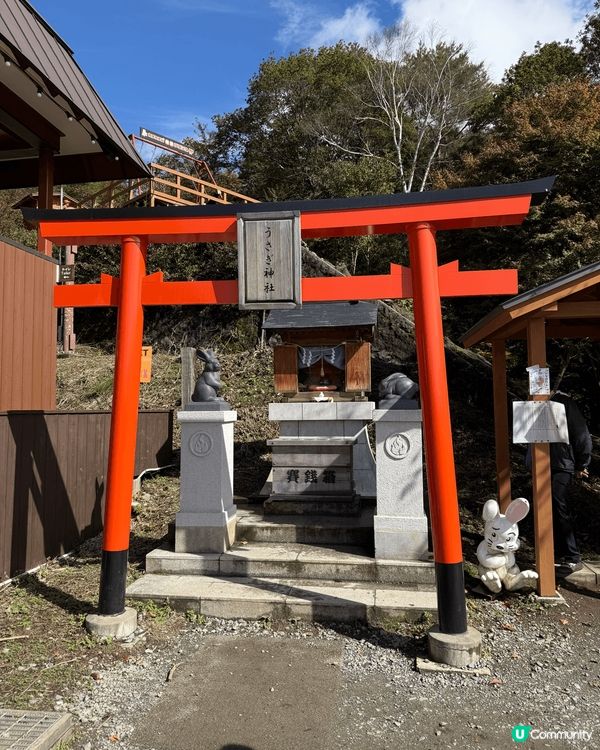呢度係河口湖嘅天上山公園，要先搭纜車前往，一路盪千秋一路望住...